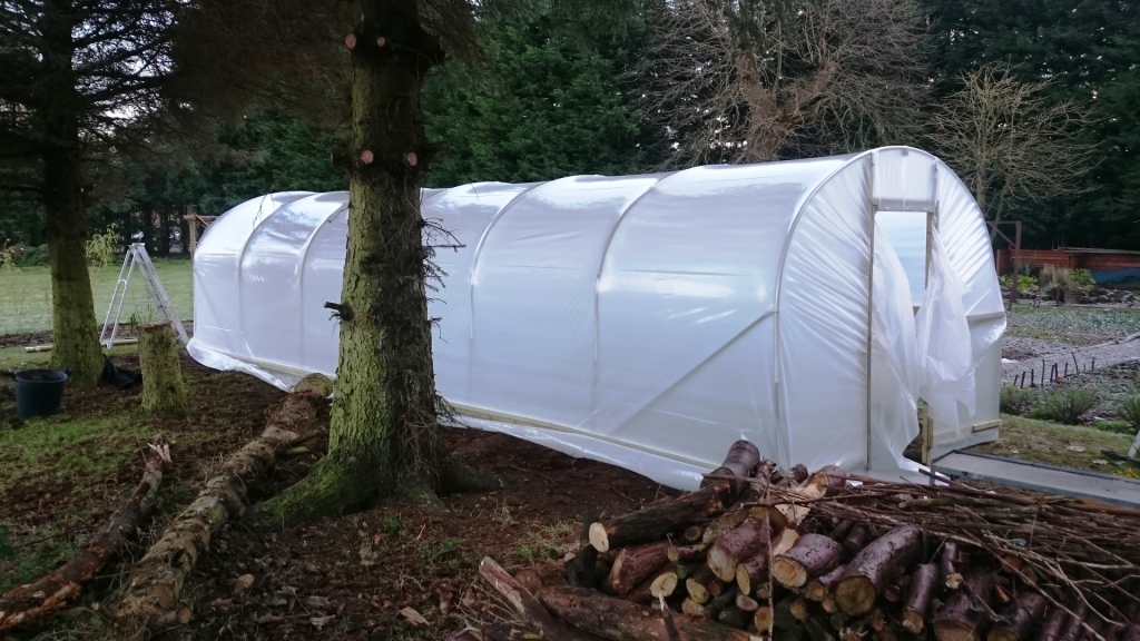 10x30-Polytunnel-nearly-sheeted