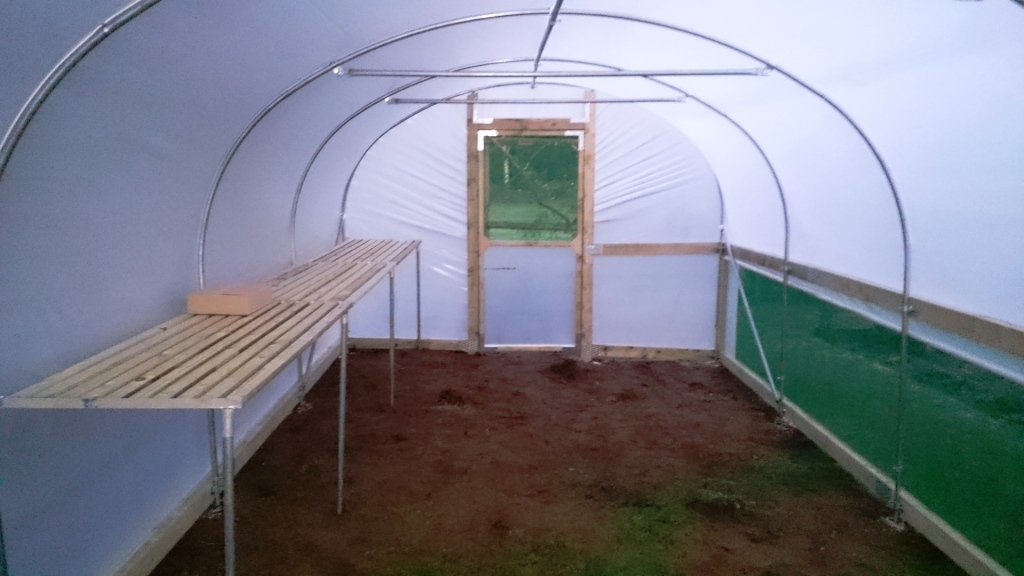 polytunnel staging