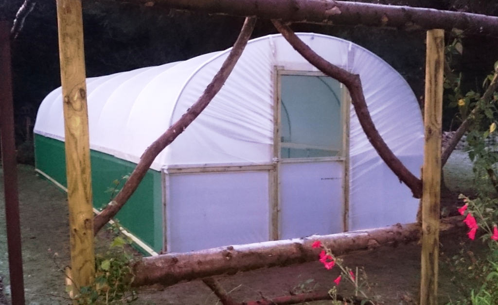 10x30-Polytunnel-with-doors