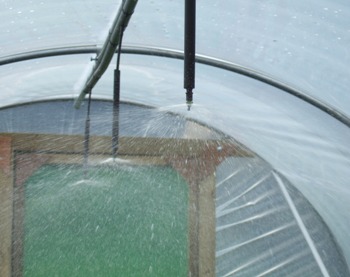 Polytunnel Overhead Spray Irrigation, 45ft Long, 10ft Cover