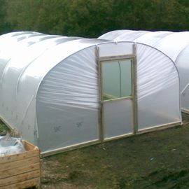 Our 12ft Wide Polytunnels