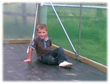 Brodie Sitting Inside the Polytunnel