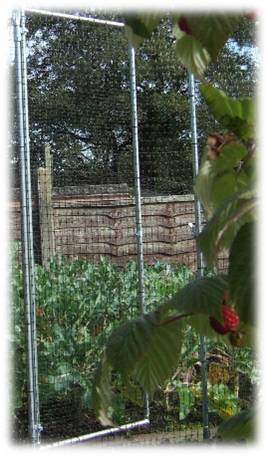 Fruit Cage Net